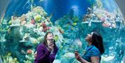 Bristol Aquarium
