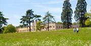 People walking in meadow at Ashton Court Estate