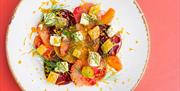 Dish at 1766 Bar and Kitchen
