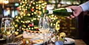 A waiter pouring wine into a glass in front of a Christmas tree