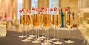 Bristol City Hall - champagne glasses