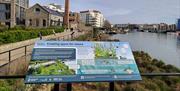 "Creating space for nature" board on Bristol Harbour.