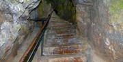Clifton Observatory's Giants Caves