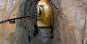 Clifton Observatory's Giants Cave system