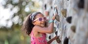 Climbing Wall at Avon Valley