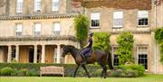 Dark brown horse and rider walking across the grounds in front of the Lucknam Park manor house.