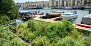 Bristol Harbour view