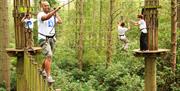 Go Ape Team Building forest