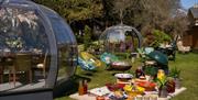 Homewood Dining domes