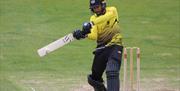 Gloucestershire County Cricket Club
