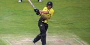 Gloucestershire County Cricket Club
