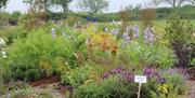 Jekka's Herb Garden