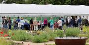 Group of people enjoying Jekka's Herb Garden