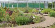 Jekka's Herb Garden