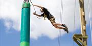 Bristol Zoo Project Team Building: Leap of Faith