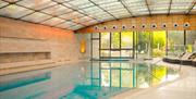 A large indoor swimming pool with curved ceiling and stone coloured marble surroundings and some cream lounging bed.