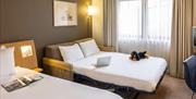 Novotel bedroom with a dog plushie on a couch bed