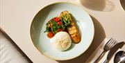 Bread, burrata cheese, and a salad on a plate