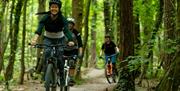 Pedal Progression group in forest