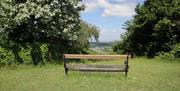 Bench on Clifton Down