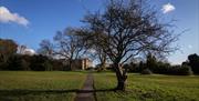 Clifton Down