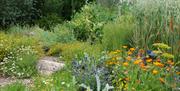 University of Bristol Botanic Garden
