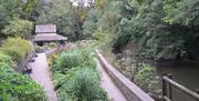 Fishponds & Frome - Snuff Mills Gardens