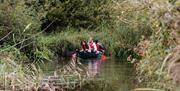 Canoe safari at WWT Slimbridge Wetland Centre
