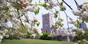 Castle Park in spring