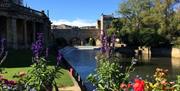 Flowers in the foreground of Pulteney Bridge and weir in Bath on a sunny day
