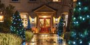 RCH Gardens with lights