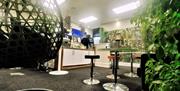 Rainforest Lounge and Breakout Space