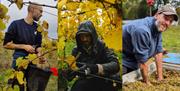 Collage. Adam harvests and processes grapes at a vineyard.