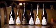 A row of six bottles of Saddle Goose wines and cider. Several barrels are visible out of focus behind.