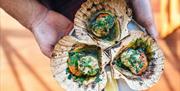 Scallops from Bristol Lido