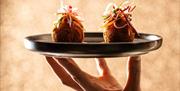Hand holding snacks on plate