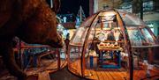 Christmas Market Igloo stall CREDIT James Bridle