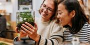 Two women creating terrarium