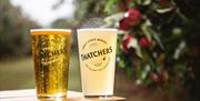 Thatchers Cider