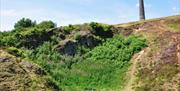 Troopers Hill Nature Reserve (c) Visit Bristol
