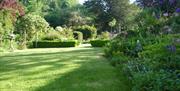 Trymwood garden