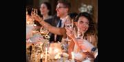 Group toasting at a party