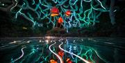 Neon mushrooms
