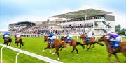 Season finale at Bath Racecourse