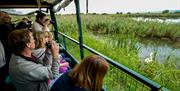 Wild Safari Team Building at WWT