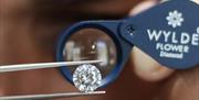 Wylde Jewellers
