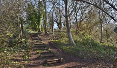 Royate Hill Nature Reserve