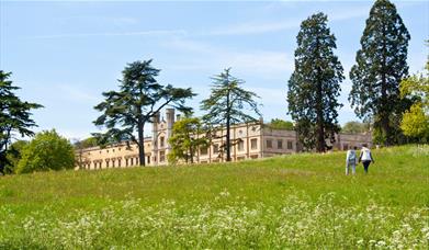 People walking in meadow at Ashton Court Estate