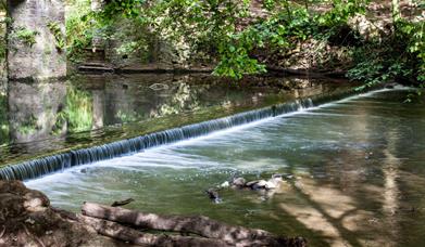Weir at Snuff mills in Bristol