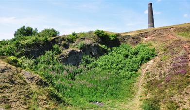 Troopers Hill Nature Reserve (c) Visit Bristol
